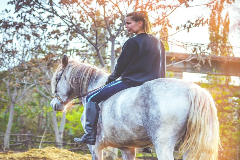 bareback rider on horse