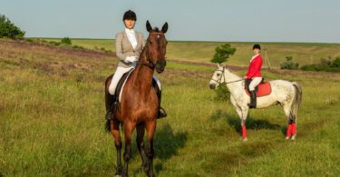 horse riders in formal jackets