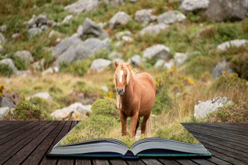 horse emerging from book
