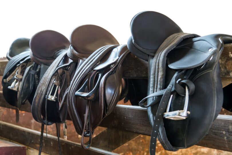 row of saddles