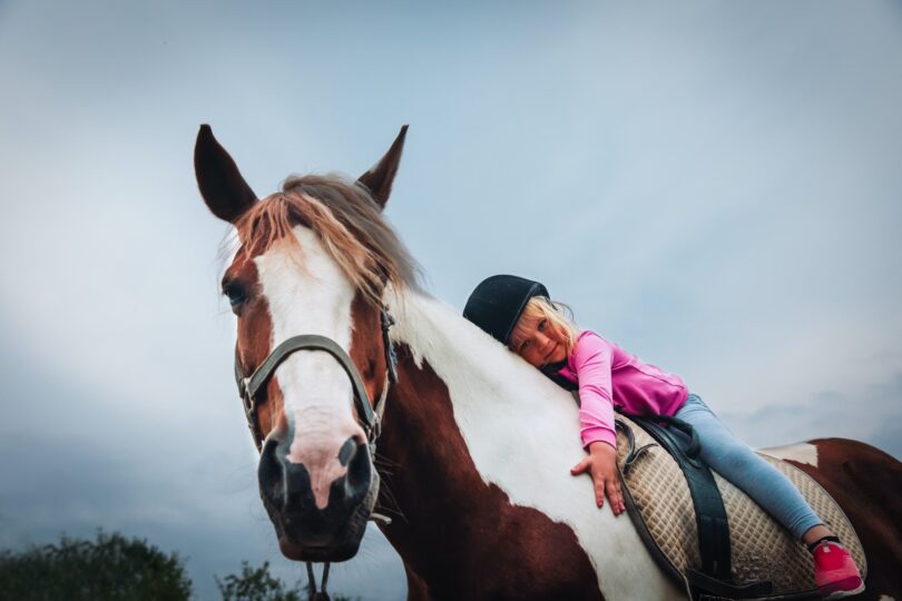 little girl hugging horse