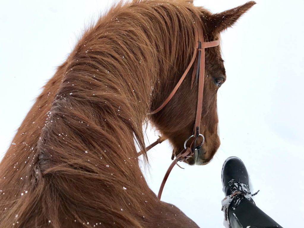 horseback-riding-what-to-wear-winter-montana