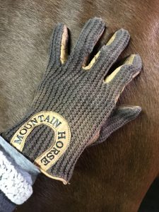 horseback-riding-what-to-wear-gloves