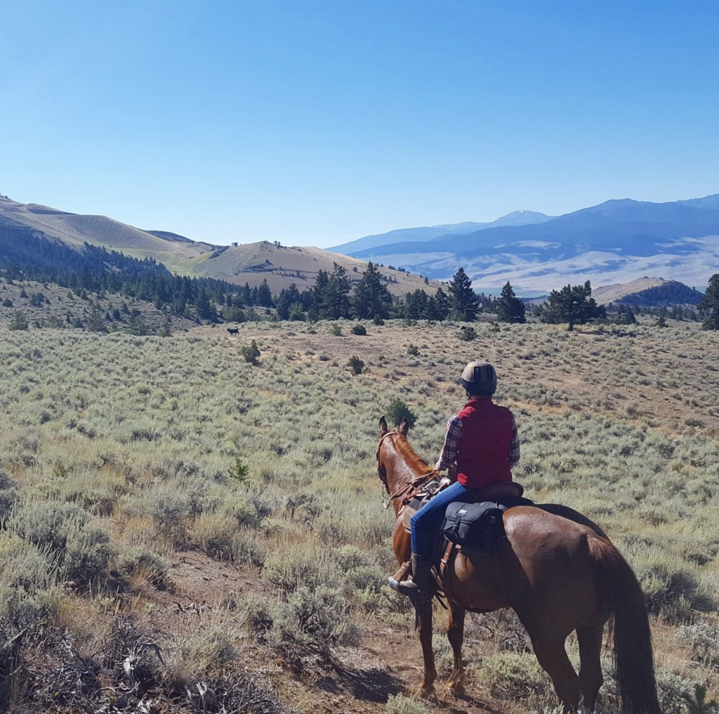 womens steel toe cowboy boots