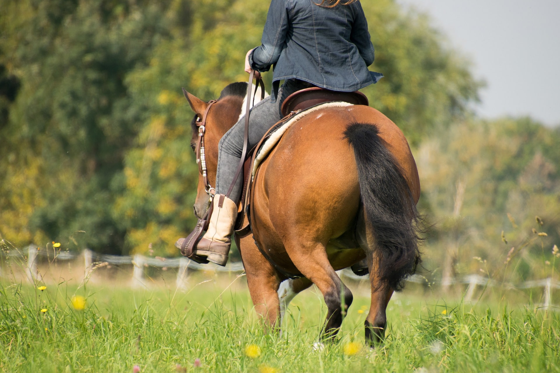 Horseback Riding: What to Wear (With Pictures)