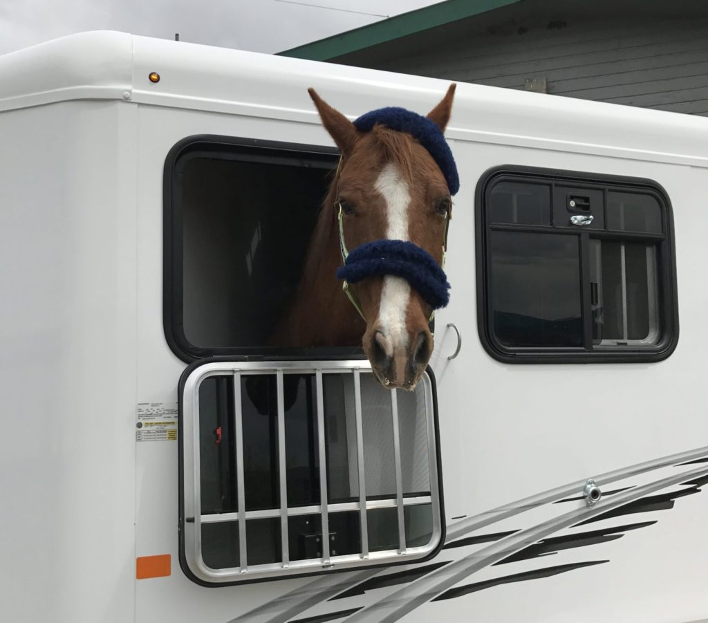 horse-trailer-weight-ready