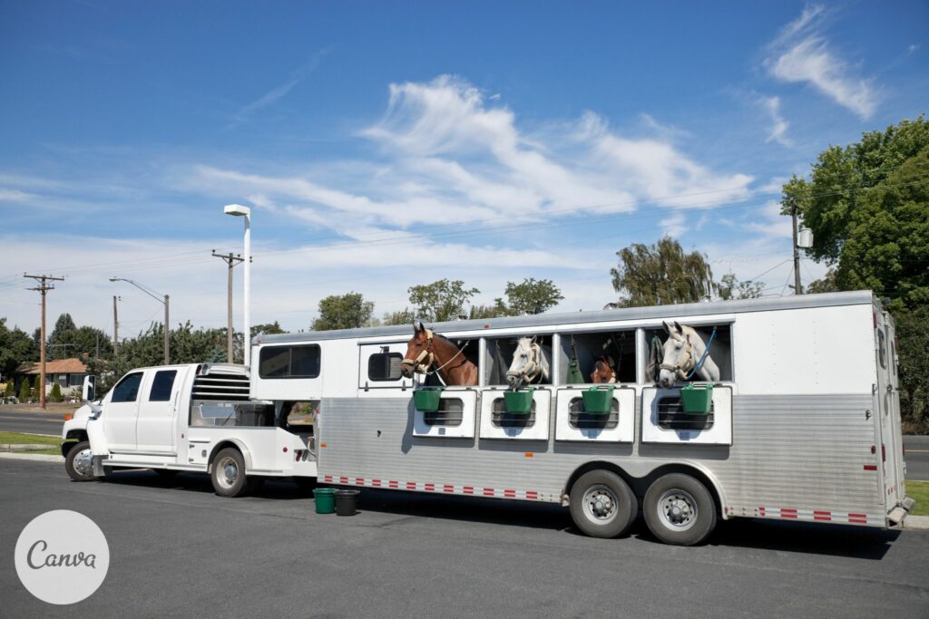 Gooseneck trailer with 4 horses