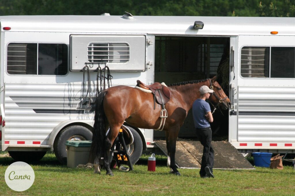 Horse with trailer at show
