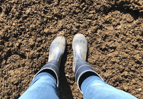 Best Boots for Mucking Stalls