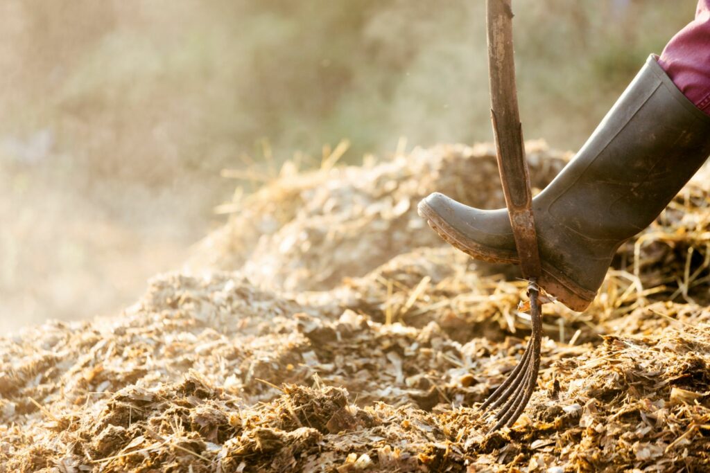 Rubber boots are the perfect choice for mucking out stalls!