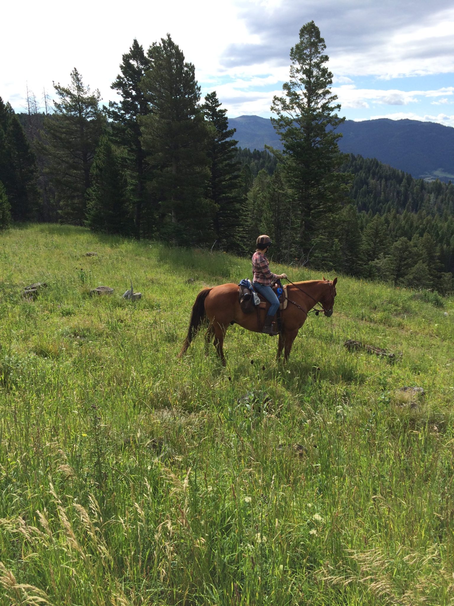 Happy Trails Gear Guide What to Wear Horseback Trail Riding