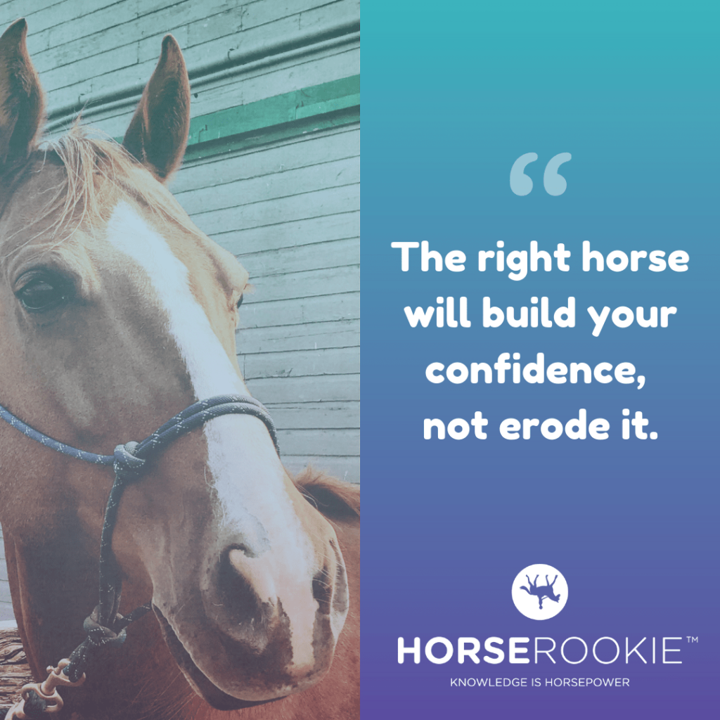 Inspirational Horse RiIding Quote