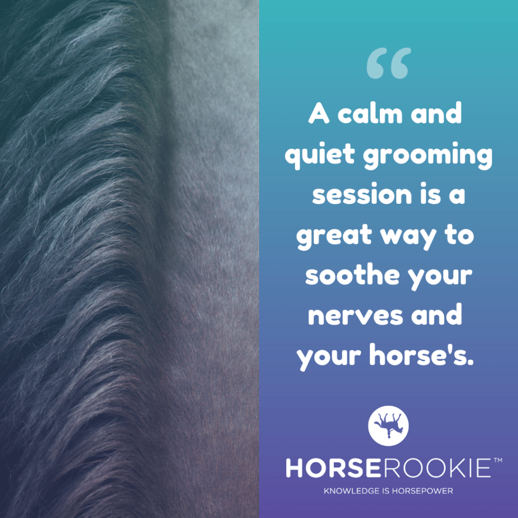 Inspirational horse quote about grooming