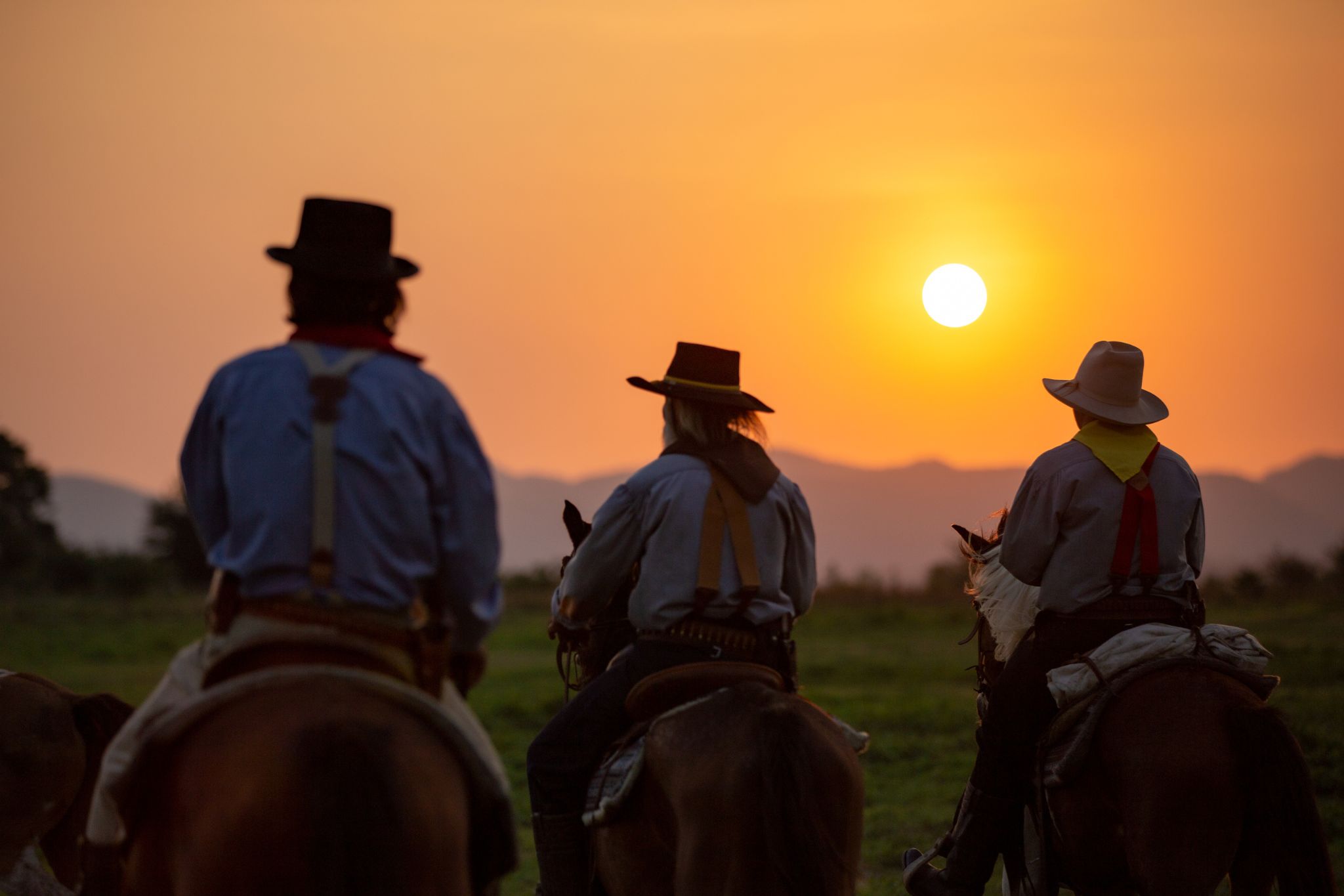 8 Best Saddle Pads for Trail Riding (And Happy Horses)