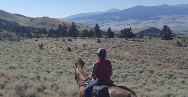 what-wear-horseback-trail-riding
