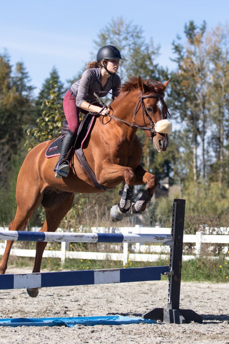 11 Best Stirrups for Jumping Clear (and Staying Safe) Horse Rookie