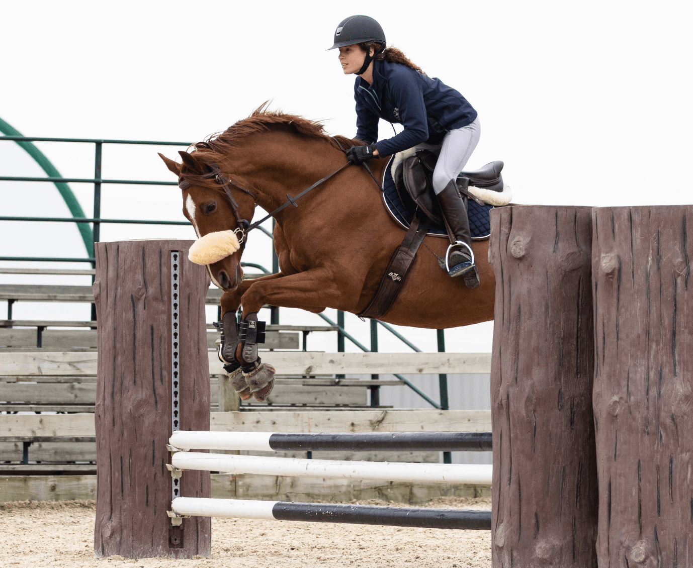 Horse Show Jumping A Complete Beginners Guide