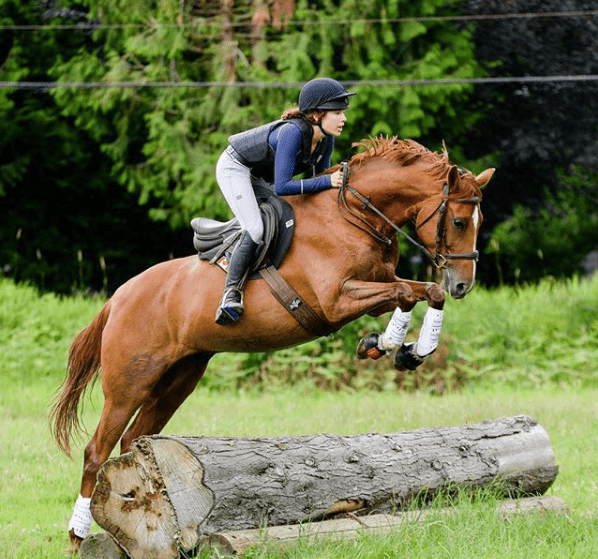 11 Best Stirrups for Jumping Clear (and Staying Safe) Horse Rookie
