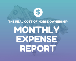 cost-horse-ownership-featured