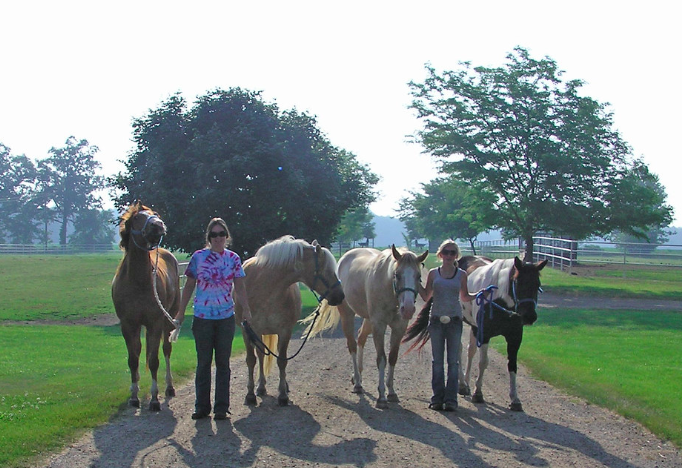 equestrian-team-spirit