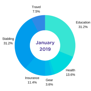 January 2019 Expense Chart