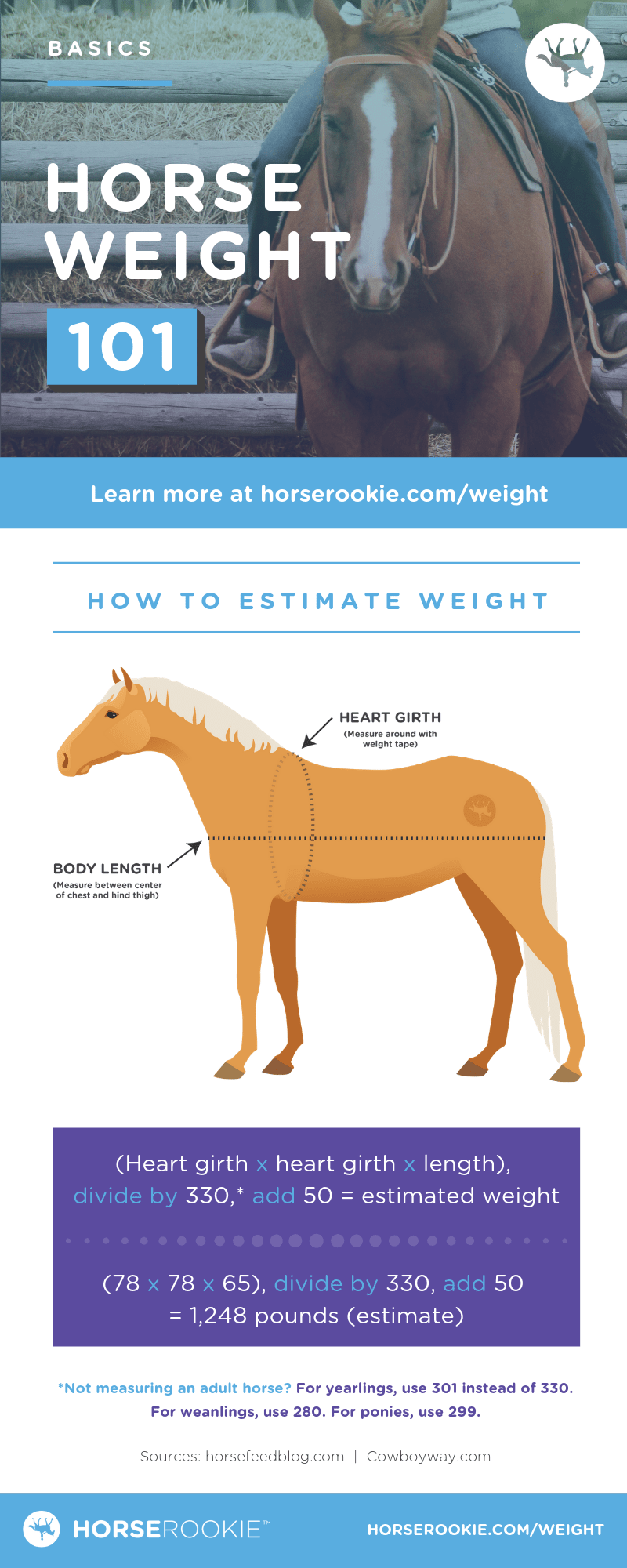 Horse Weight Calculator Infographic