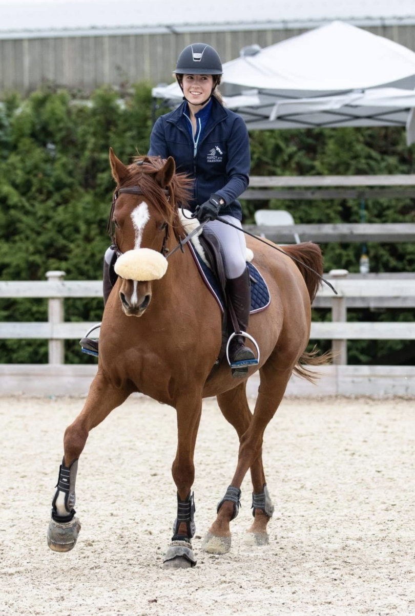 (Bit)Less is More Bitless Horseback Riding for Beginners Horse Rookie