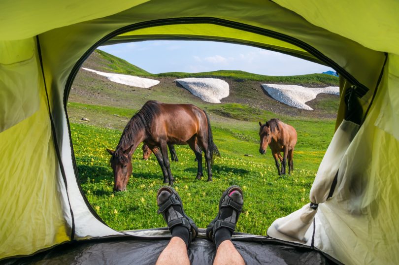 horse-camping-guide