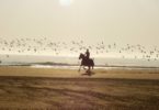 wear-horse-riding-vacation-hero