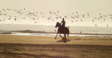 what-wear-horseback-riding-vacation