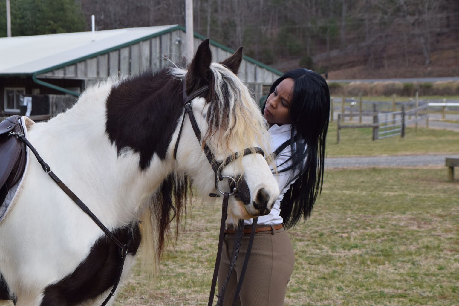 Horse Riding Gear For Beginners (Quick-Print Equipment List)