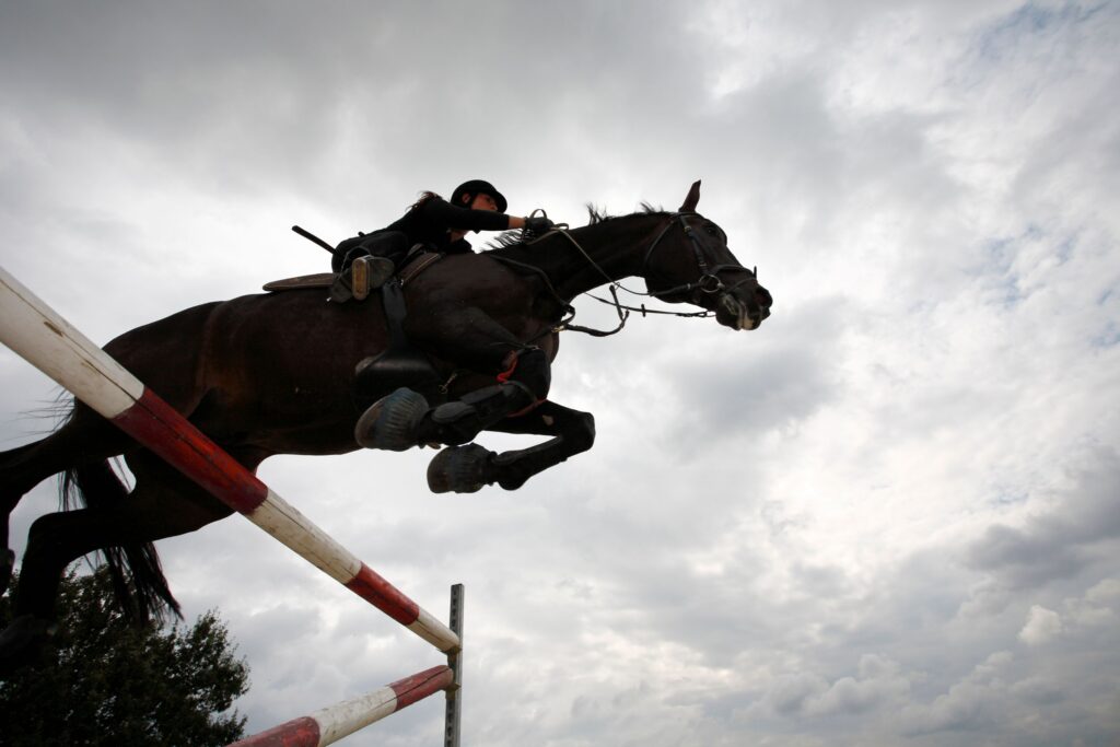 What makes a good jumping horse?
