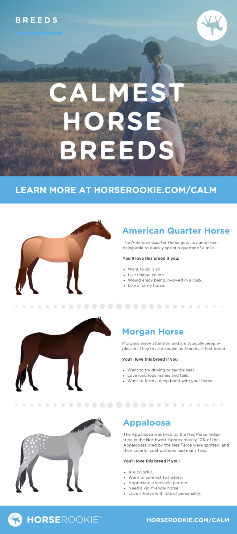 Keep Calm & Ride On Meet the 5 Calmest Horse Breeds
