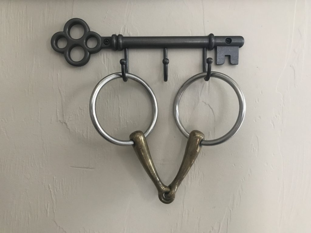 Best Bits For Quarter Horses (A Helpful Illustrated Guide) Horse Rookie