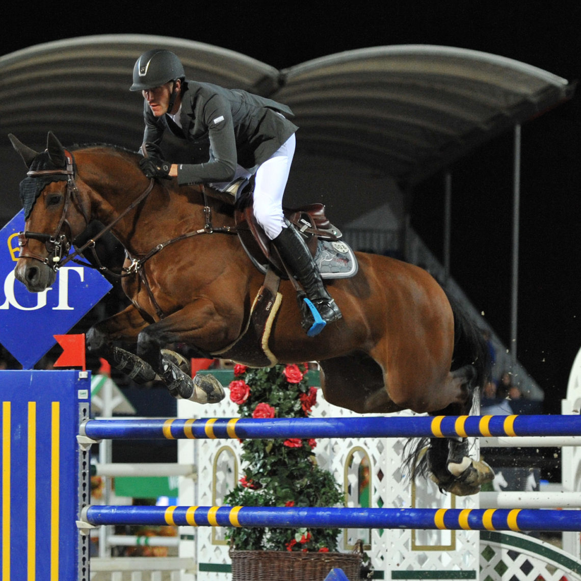 10 Best Safety Stirrups for Adults (Uses, Features, Reviews)