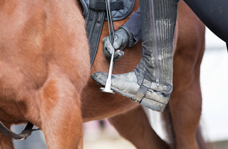 How to ride a horse for beginners (basics, safety, mistakes)