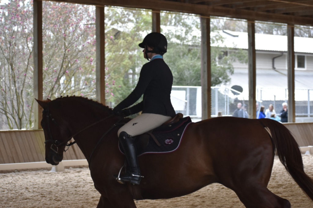 working-student-equestrian-gabrielle