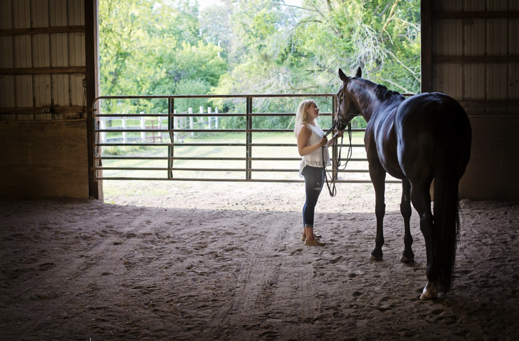 working-student-equestrian-tips