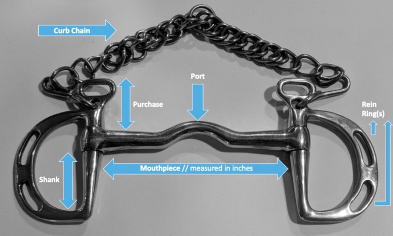 16 Common Types of Horse Bits (A Helpful Illustrated Guide) - Horse Rookie