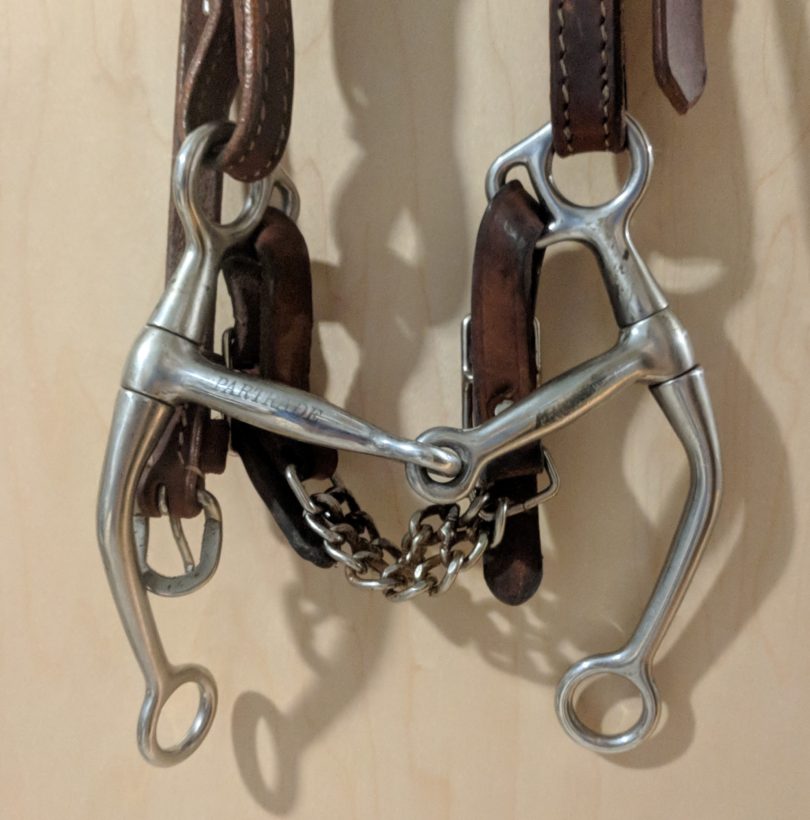 Best Bits For Quarter Horses (A Helpful Illustrated Guide)