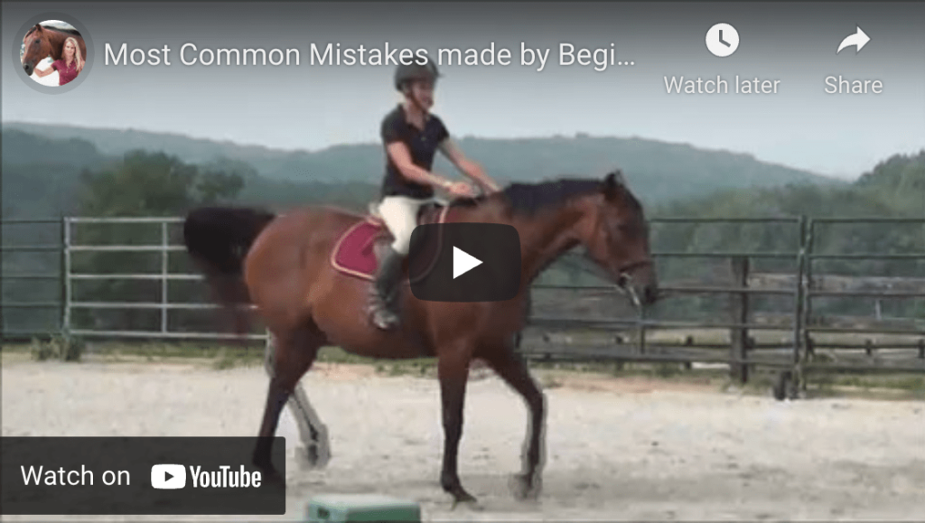 horse riding beginner mistakes