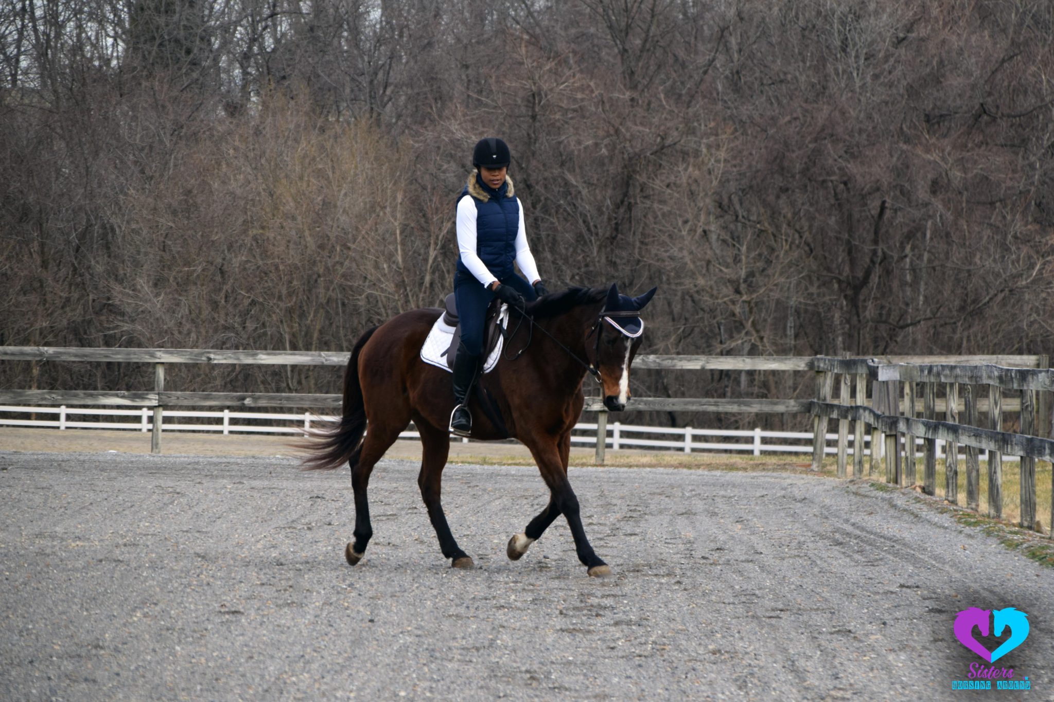 How To Ride A Horse For Beginners (basics, Safety, Mistakes)