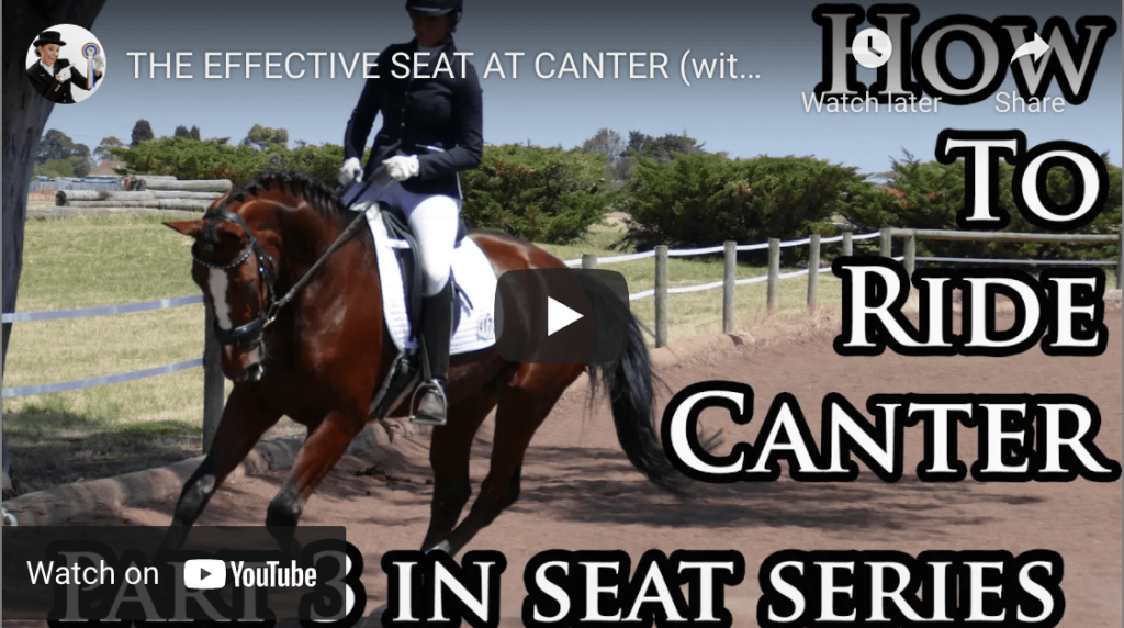 how to canter a horse