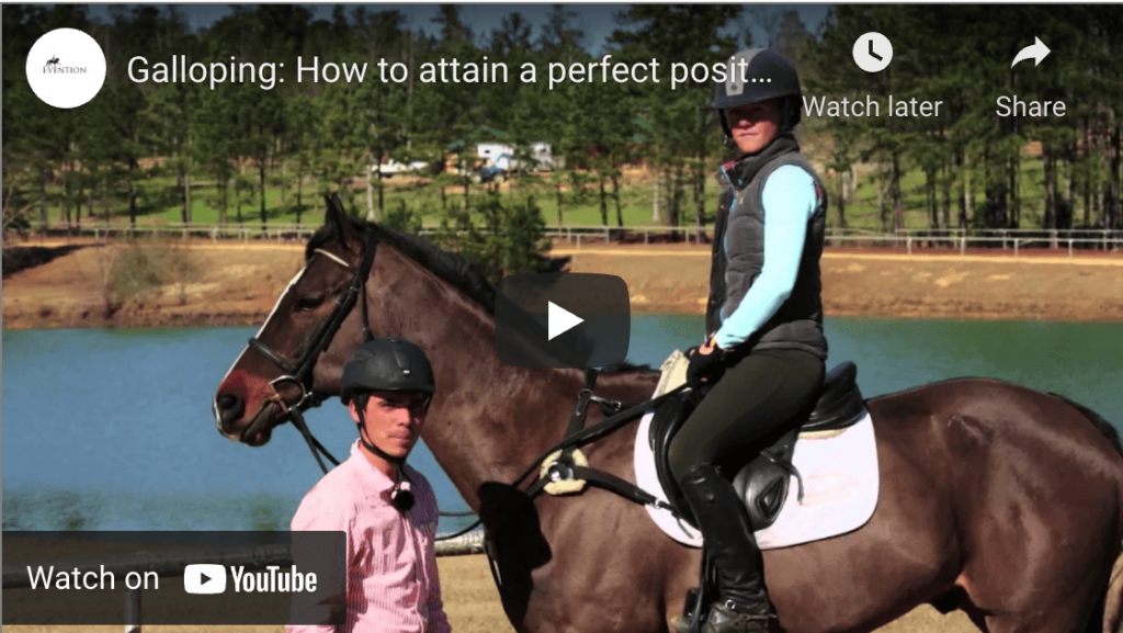 how to gallop a horse