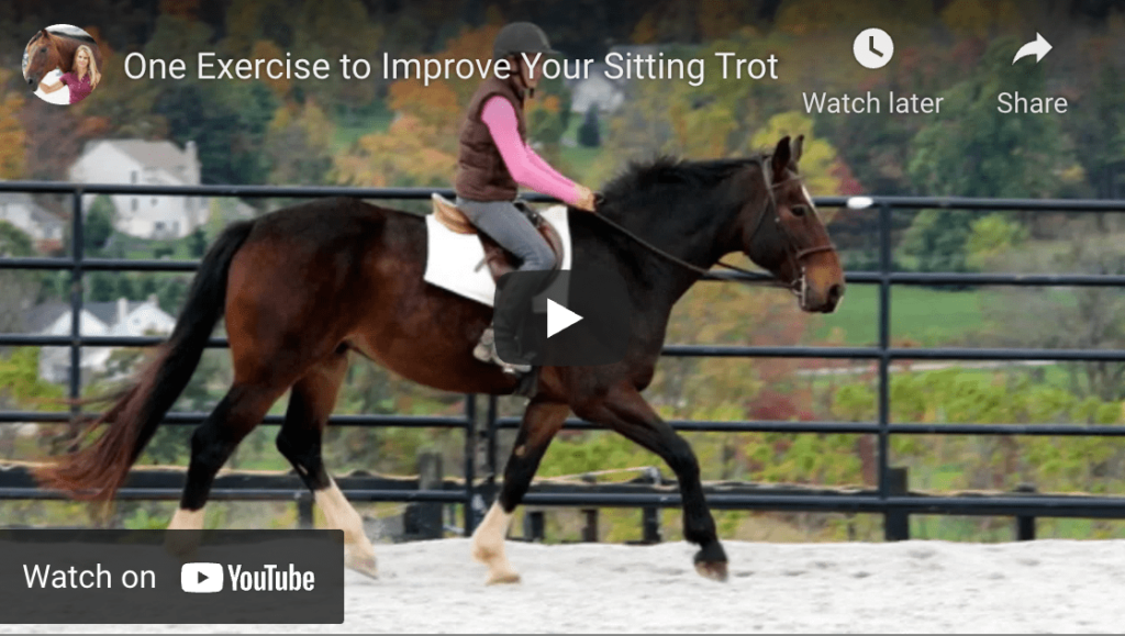 how to sit trot a hors