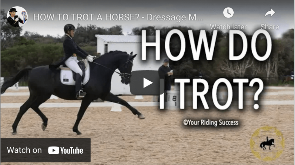 how to trot a horse