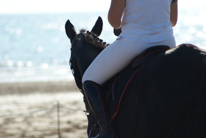 horse riding breeches hot weather