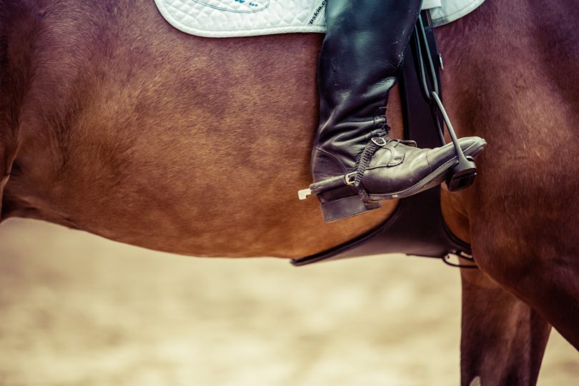 how-to-become-working-student-equestrian