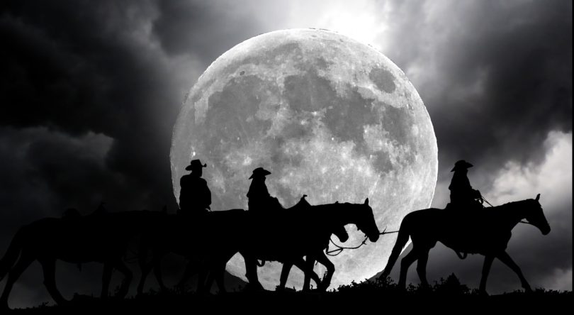 Ultimate Beginners Guide To Horseback Trail Riding At Night