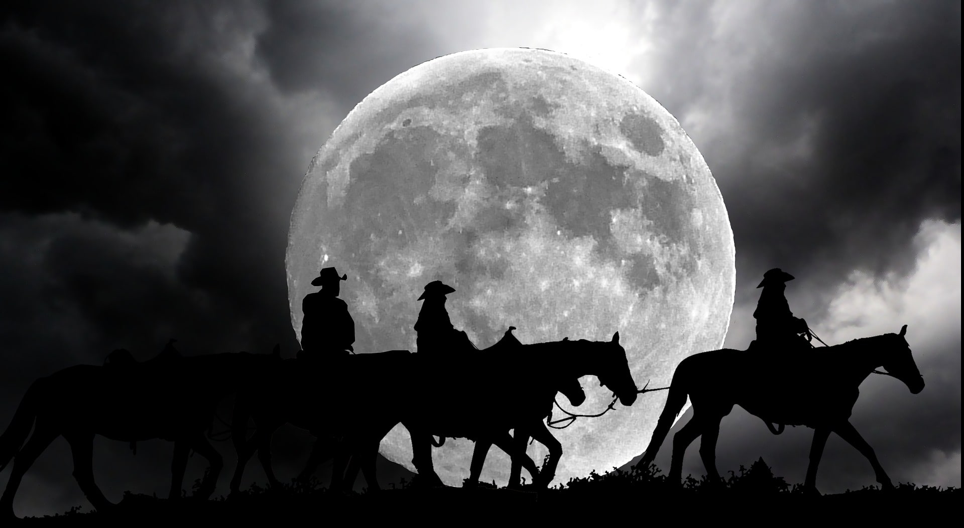 Ultimate Beginner’s Guide to Horseback Trail Riding at Night